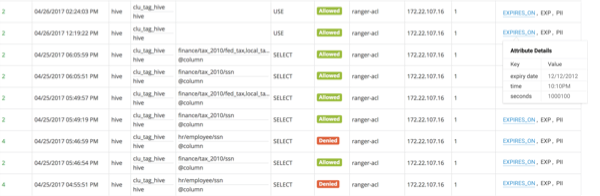 Ranger Console Audit tab, Access sub-tab, showing tag attribute details