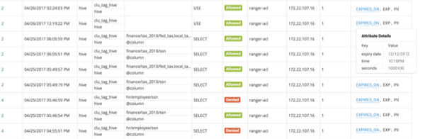 Ranger Console Audit tab, Access sub-tab, showing tag attribute details