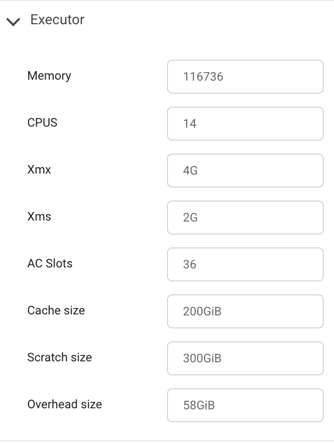 Image showing sample values for the executor pod configuration.